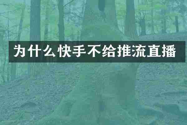 为什么快手不给推流直播