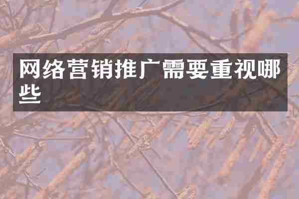 网络营销推广需要重视哪些