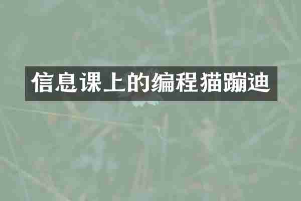 信息课上的编程猫蹦迪