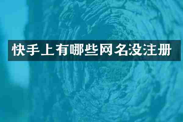 快手上有哪些网名没注册