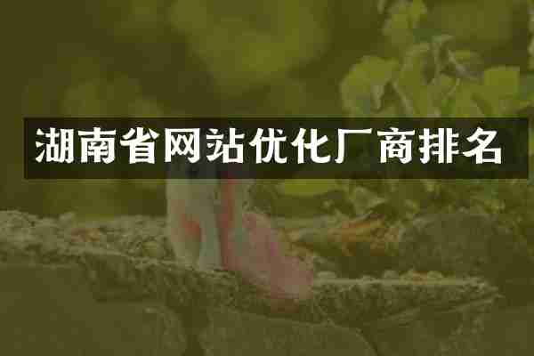 湖南省网站优化厂商排名