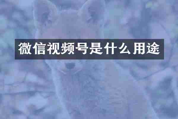 微信视频号是什么用途