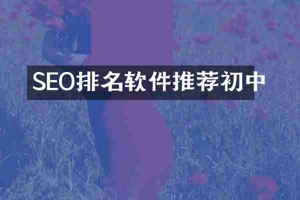 SEO排名软件推荐初中