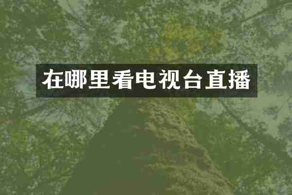 在哪里看电视台直播