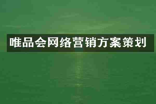 唯品会网络营销方案策划