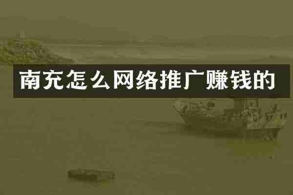 南充怎么网络推广赚钱的