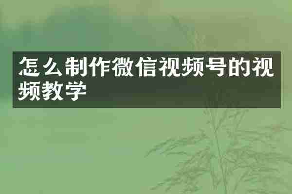 怎么制作微信视频号的视频教学