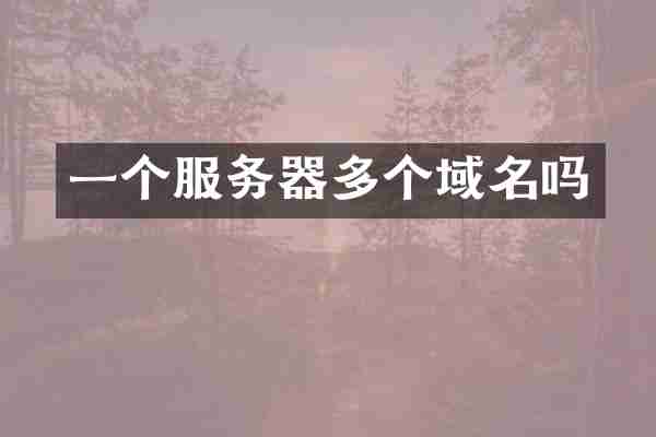 一个服务器多个域名吗
