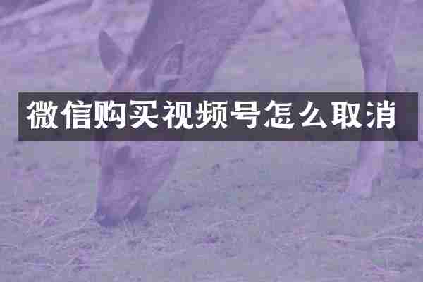 微信购买视频号怎么取消