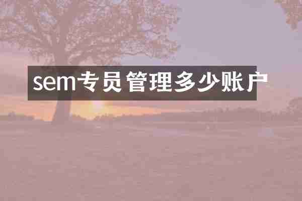 sem专员管理多少账户