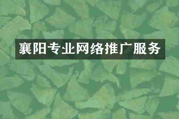 襄阳专业网络推广服务