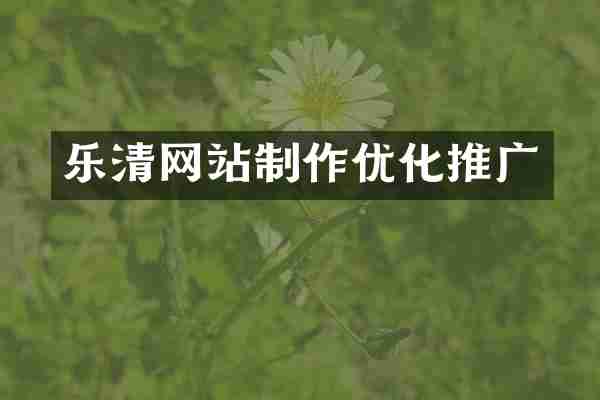 乐清网站制作优化推广