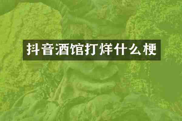 抖音酒馆打烊什么梗