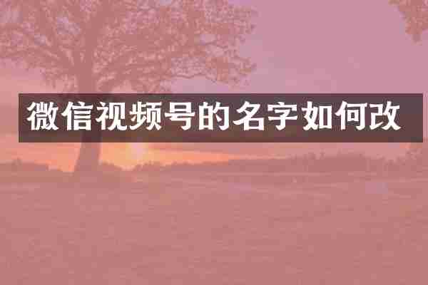 微信视频号的名字如何改
