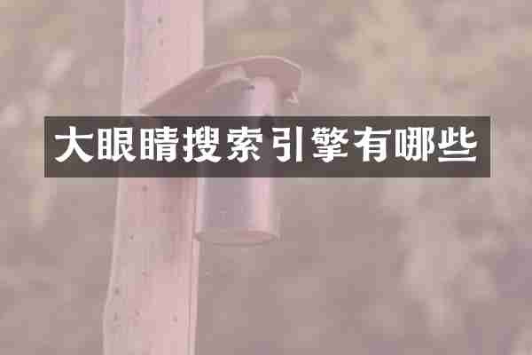 大眼睛搜索引擎有哪些