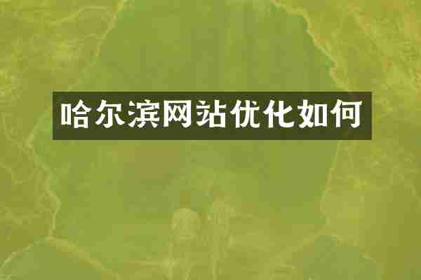 哈尔滨网站优化如何