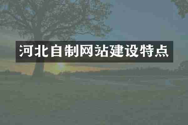 河北自制网站建设特点