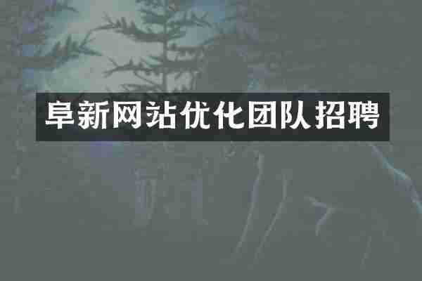 阜新网站优化团队招聘