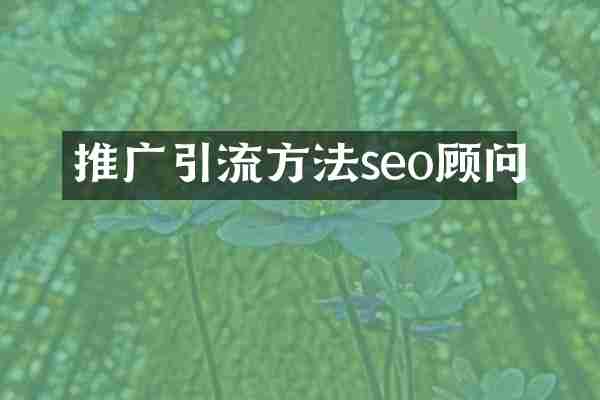 推广引流方法seo顾问