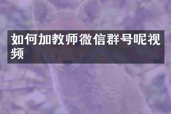 如何加教师微信群号呢视频