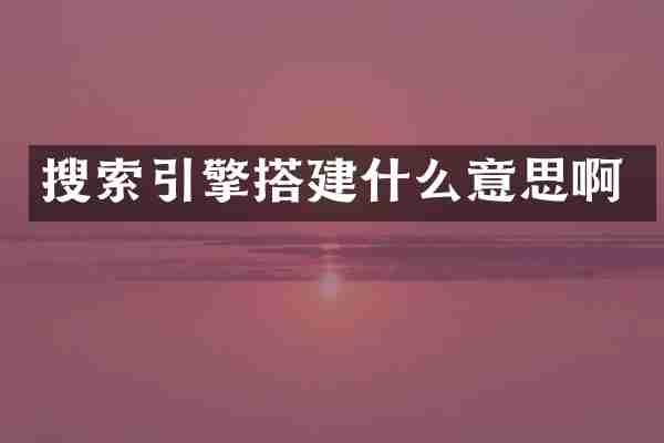 搜索引擎搭建什么意思啊
