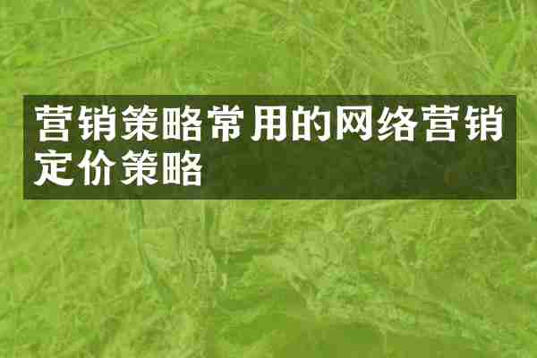 营销策略常用的网络营销定价策略