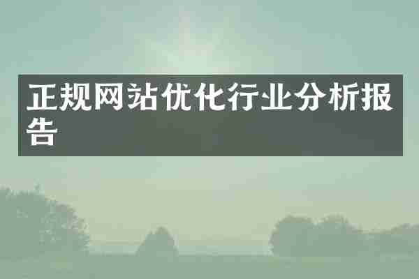正规网站优化行业分析报告