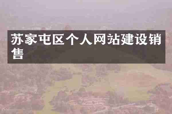 苏家屯区个人网站建设销售