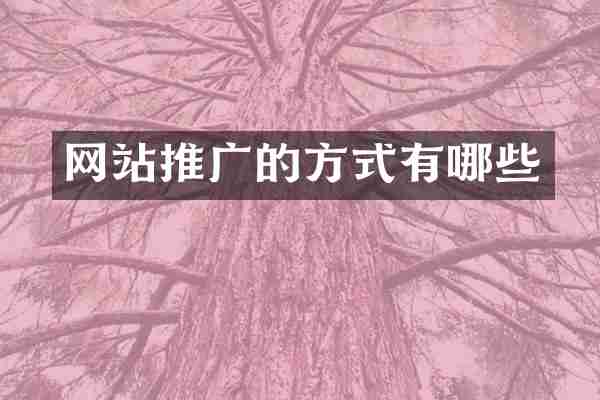 网站推广的方式有哪些
