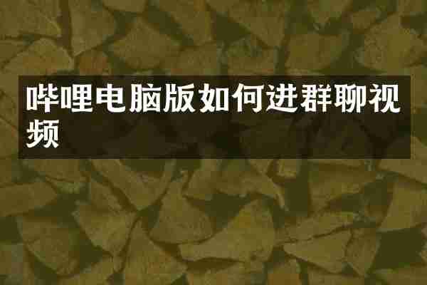 哔哩电脑版如何进群聊视频