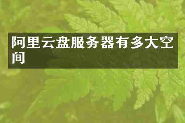 阿里云盘服务器有多大空间