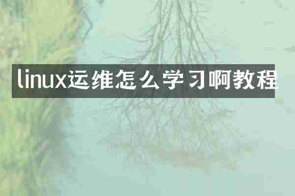 linux运维怎么学习啊教程