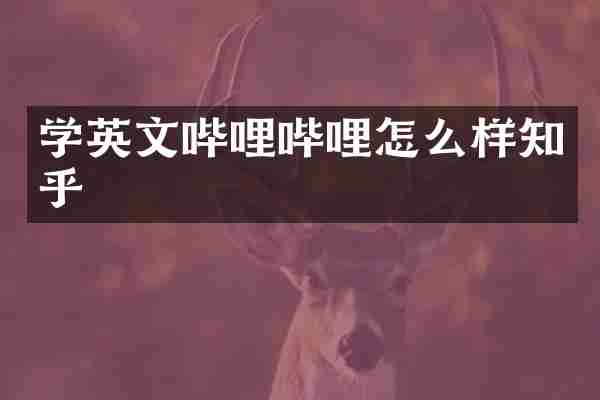 学英文哔哩哔哩怎么样知乎
