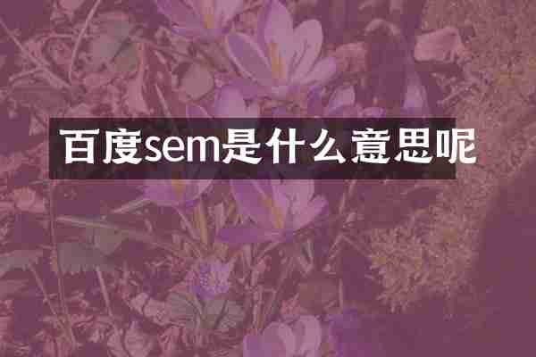 百度sem是什么意思呢