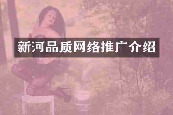新河品质网络推广介绍