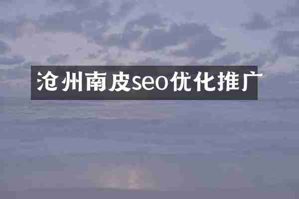 沧州南皮seo优化推广