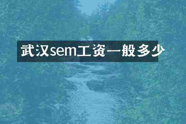 武汉sem工资一般多少
