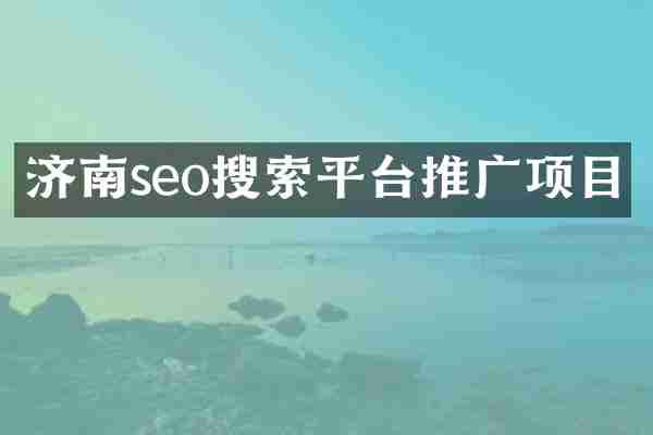 济南seo搜索平台推广项目