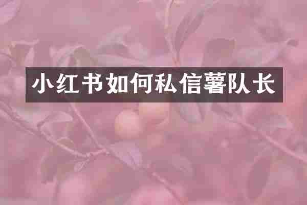 小红书如何私信薯队长