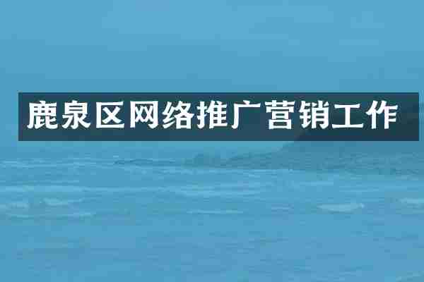 鹿泉区网络推广营销工作