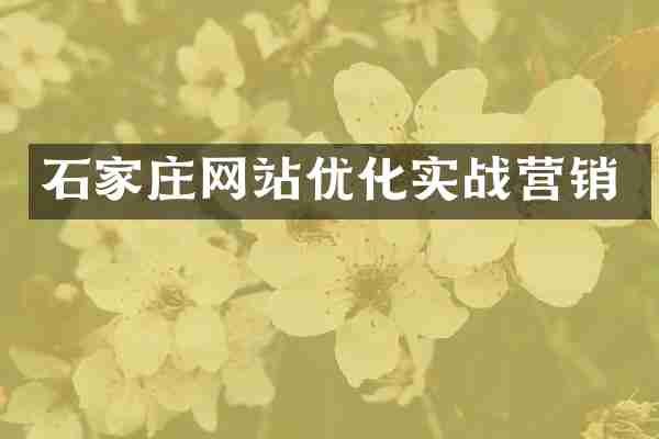 石家庄网站优化实战营销