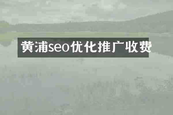 黄浦seo优化推广收费