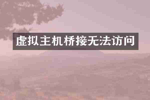 虚拟主机桥接无法访问