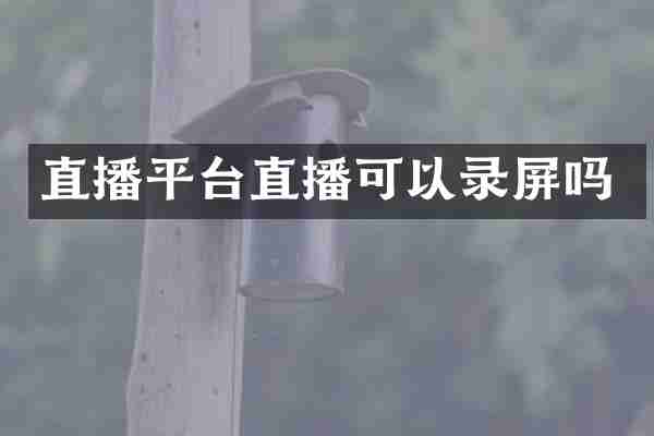 直播平台直播可以录屏吗