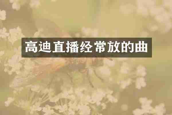 高迪直播经常放的曲