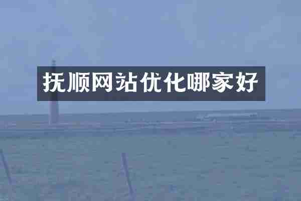 抚顺网站优化哪家好