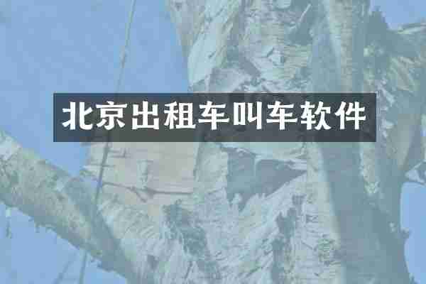 北京出租车叫车软件