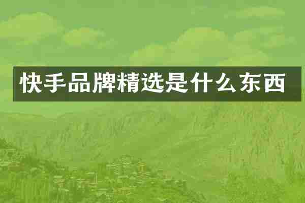 快手品牌精选是什么东西