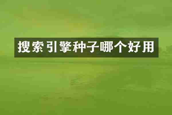 搜索引擎种子哪个好用