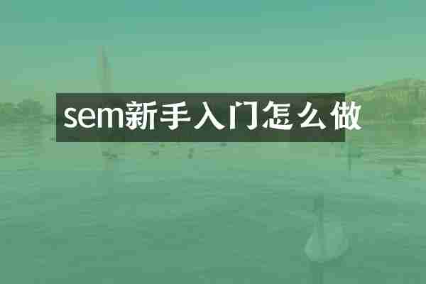 sem新手入门怎么做